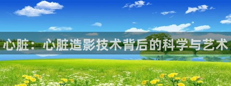 木瓜影院午夜：心脏：心脏造影技术背后的科学与艺术