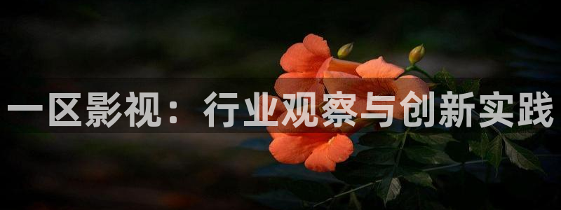木瓜影视城