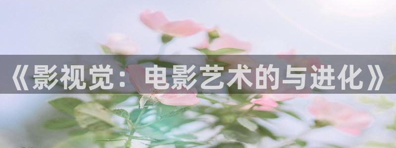 青木瓜影院