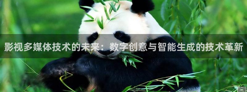 木瓜影音在线观看