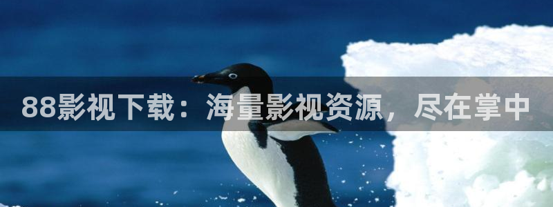 木瓜视频电影