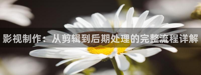 木瓜好看的电影