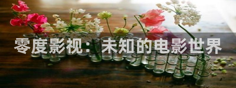 木瓜电影网视频：零度影视：未知的电影世界
